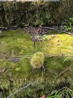 御園神社(北海道)