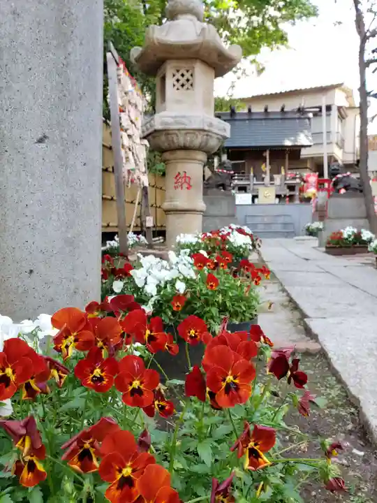 高円寺氷川神社(東京都)