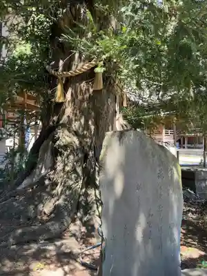 瀬戸神社(神奈川県)