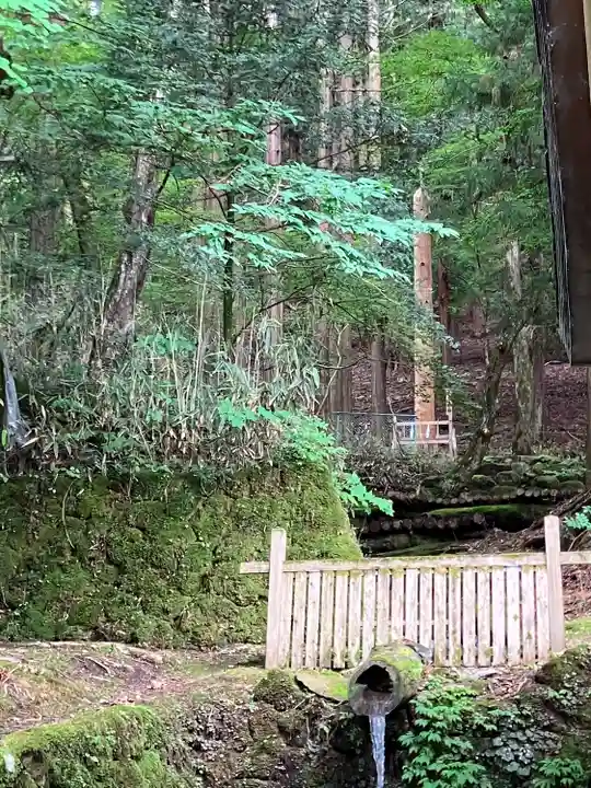 諏訪大社(長野県)