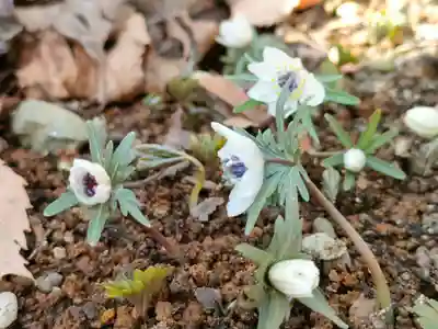 春日神社の周辺