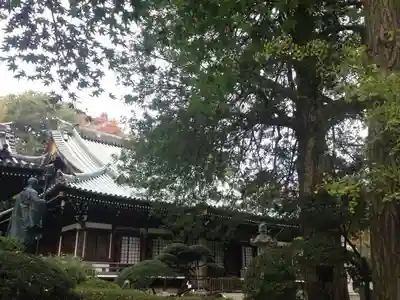 安養院の本殿・本堂