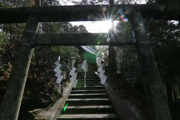 日枝神社の鳥居