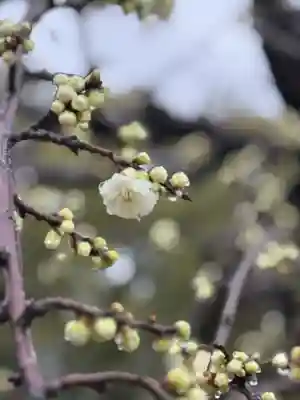 伊勢の国 四天王寺(三重県)