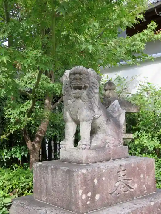 晴明神社の狛犬