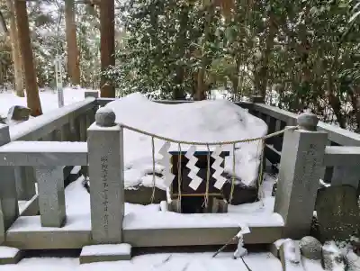 鹿島神社の{uncategorized: "未分類", other: "その他", undefined: "問題あり", building: "その他建物", grave: "お墓", sacred_gate: "鳥居", guardian: "狛犬", statue: "像", buddha: "仏像", history: "歴史", nature: "自然", garden: "庭園", animal: "動物", pagoda: "塔", temizu: "手水舎", mountain_gate: "山門・神門", sanctuary: "本殿・本堂", subordinate: "末社・摂社", art: "芸術", scenery: "景色", jizo: "地蔵", ema: "絵馬", goshuin: "御朱印", omikuji: "おみくじ", items: "授与品その他", amulet: "お守り", goshuincho: "御朱印帳", eats: "食事", festival: "お祭り", votive_dance: "神楽", shichigosan: "七五三参", wedding: "結婚式", experience: "体験その他", initially: "初詣", around: "周辺", anti_infection: "感染症対策"}