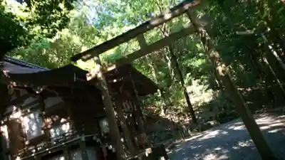 出雲大神宮の鳥居