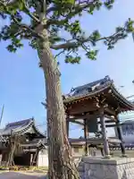宝泉院(良心寺)の自然