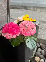 上尾御嶽神社の手水舎