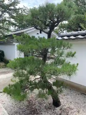 良正院(京都府)