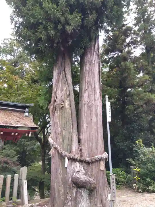 八幡神社(岐阜県)