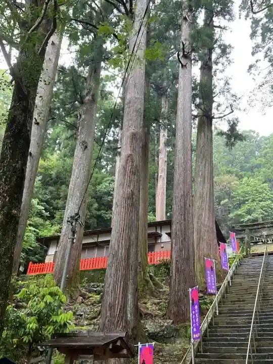 鳳来山東照宮(愛知県)