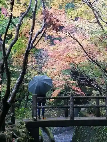 五所駒瀧神社の庭園