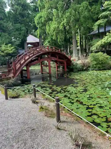 金剛證寺の庭園