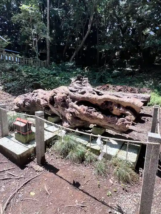 泉神社(茨城県)