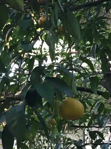 武蔵野八幡宮(東京都)