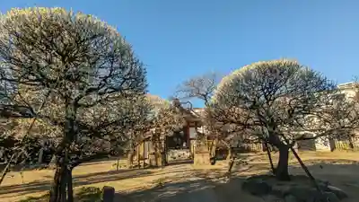 北野神社(東京都)