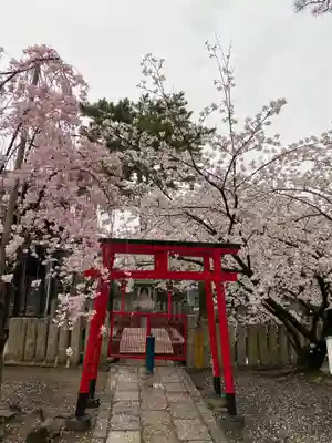 葛井寺の鳥居