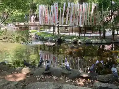 平塚八幡宮(神奈川県)