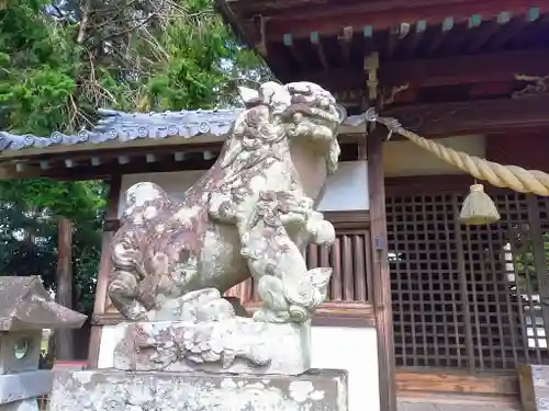 赤坂神社の狛犬