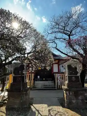 北野神社の{uncategorized: "未分類", other: "その他", undefined: "問題あり", building: "その他建物", grave: "お墓", sacred_gate: "鳥居", guardian: "狛犬", statue: "像", buddha: "仏像", history: "歴史", nature: "自然", garden: "庭園", animal: "動物", pagoda: "塔", temizu: "手水舎", mountain_gate: "山門・神門", sanctuary: "本殿・本堂", subordinate: "末社・摂社", art: "芸術", scenery: "景色", jizo: "地蔵", ema: "絵馬", goshuin: "御朱印", omikuji: "おみくじ", items: "授与品その他", amulet: "お守り", goshuincho: "御朱印帳", eats: "食事", festival: "お祭り", votive_dance: "神楽", shichigosan: "七五三参", wedding: "結婚式", experience: "体験その他", initially: "初詣", around: "周辺", anti_infection: "感染症対策"}