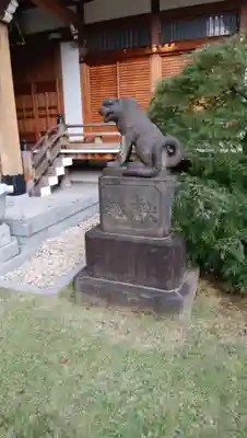 天現寺の狛犬