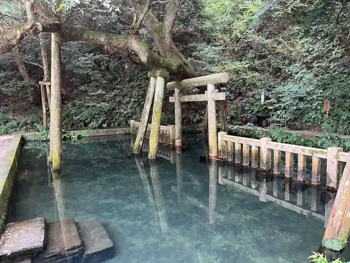 鹿島神宮(茨城県)