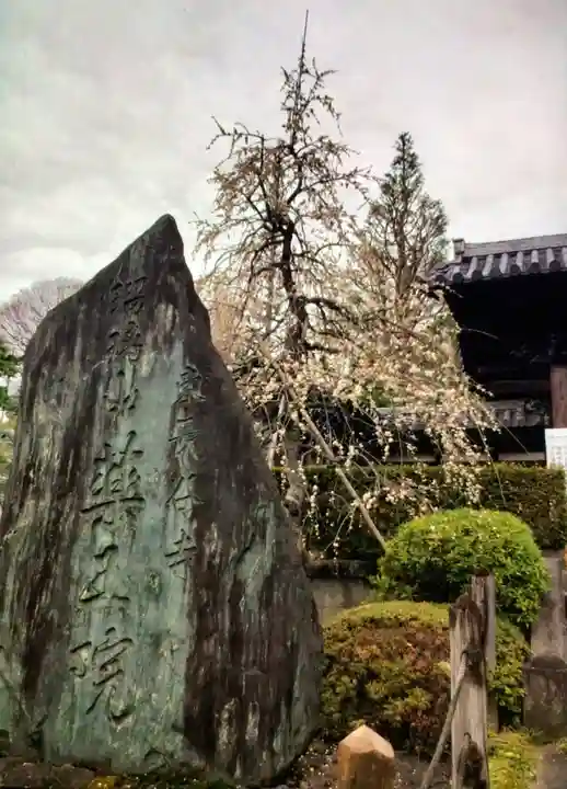 東長谷寺 薬王院(東京都)