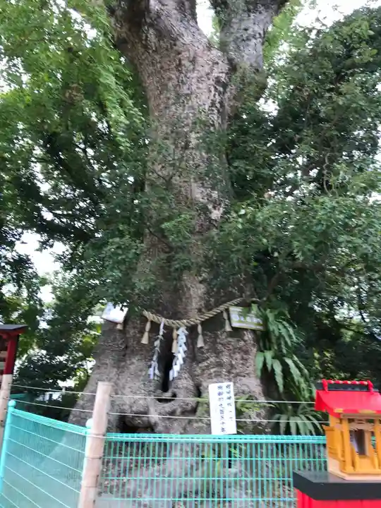 七狩長田貫神社の自然