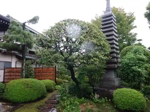 慈眼寺の庭園