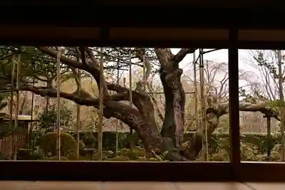 宝泉院(京都府)