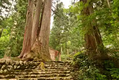 白山中居神社(岐阜県)