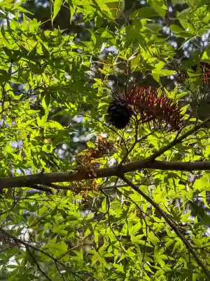 円覚寺(神奈川県)