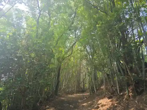 八幡神社(兵庫県)