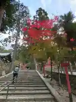 吉田神社(京都府)