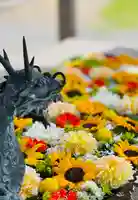 守りの神 藤基神社の手水舎