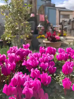 哀愍寺(ちぎり地蔵尊)(大阪府)