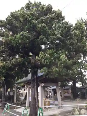 森戸大明神（森戸神社）(神奈川県)