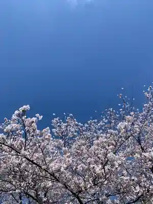 滑川神社 - 仕事と子どもの守り神(福島県)