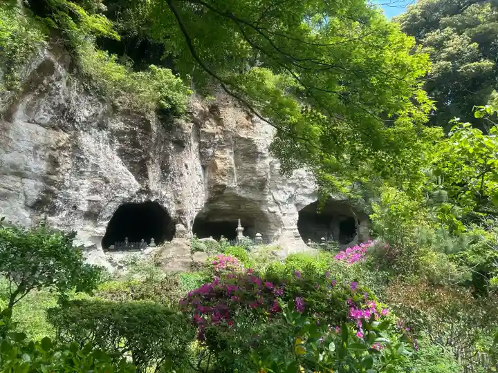 報国寺の{uncategorized: "未分類", other: "その他", undefined: "問題あり", building: "その他建物", grave: "お墓", sacred_gate: "鳥居", guardian: "狛犬", statue: "像", buddha: "仏像", history: "歴史", nature: "自然", garden: "庭園", animal: "動物", pagoda: "塔", temizu: "手水舎", mountain_gate: "山門・神門", sanctuary: "本殿・本堂", subordinate: "末社・摂社", art: "芸術", scenery: "景色", jizo: "地蔵", ema: "絵馬", goshuin: "御朱印", omikuji: "おみくじ", items: "授与品その他", amulet: "お守り", goshuincho: "御朱印帳", eats: "食事", festival: "お祭り", votive_dance: "神楽", shichigosan: "七五三参", wedding: "結婚式", experience: "体験その他", initially: "初詣", around: "周辺", anti_infection: "感染症対策"}