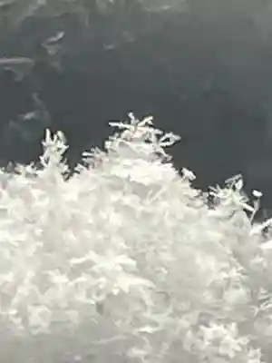 白山神社(岐阜県)