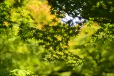  智積院(京都府)