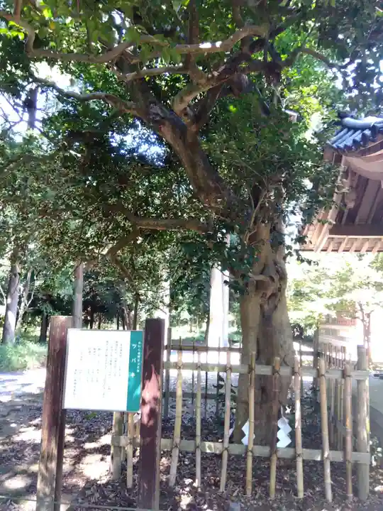春日神社・井口神社(福井県)