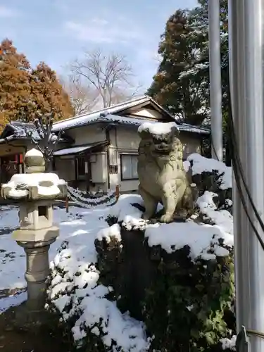 柏諏訪神社の狛犬