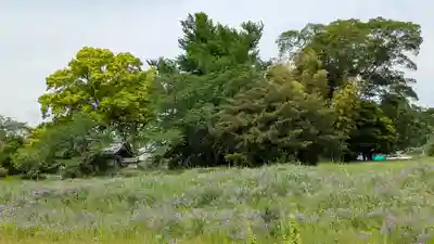 史跡 丹波国分寺跡 附 八幡神社跡(京都府)