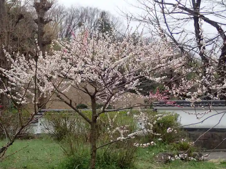 師岡熊野神社の御朱印