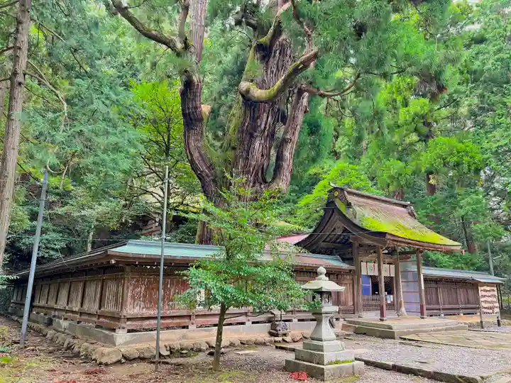 若狭姫神社(若狭彦神社下社)(福井県)