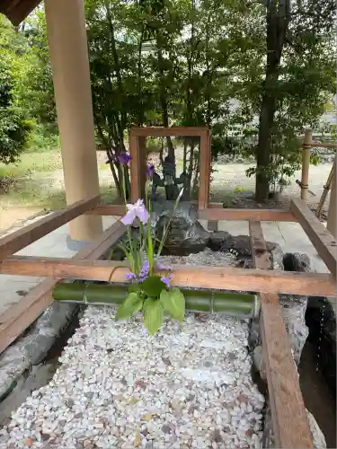 和泉國一之宮　大鳥大社(大阪府)