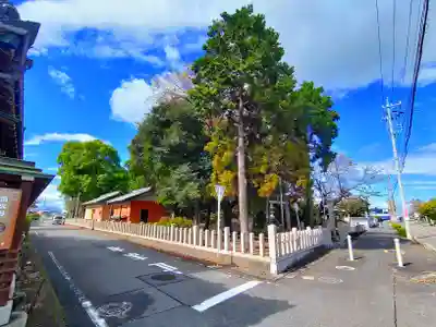 六所社（郷中）の自然