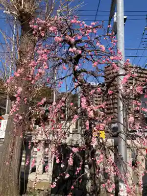 鹿島神社(神奈川県)
